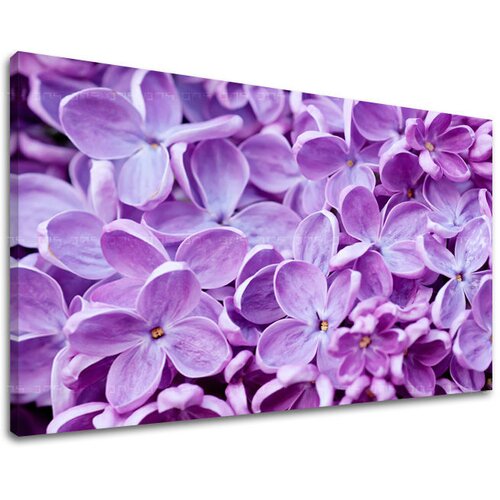  Slike na platnu cveće  (moderne slike na platnu) Cene