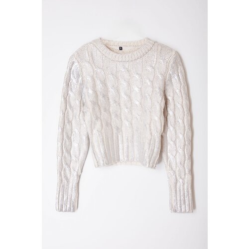 Trendyol Stone Foil Printed Knitwear Sweater Slike