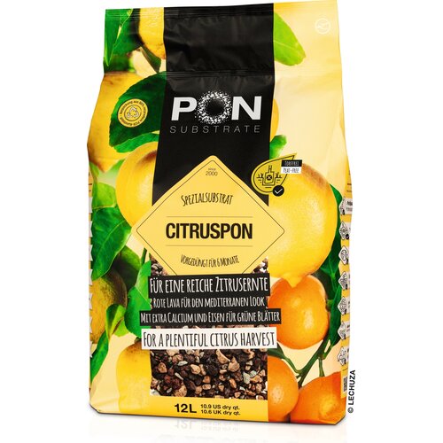 PON Citrus- 12 l Slike