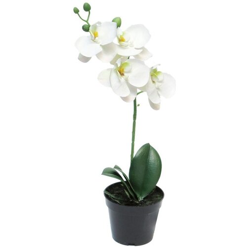  Cvet u saksiji ORCHID 35cm 51345-0 - White - NNT Slike