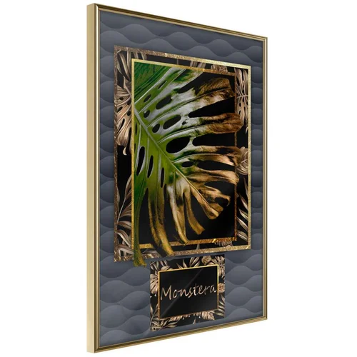  Poster - Monstera in the Frame 30x45