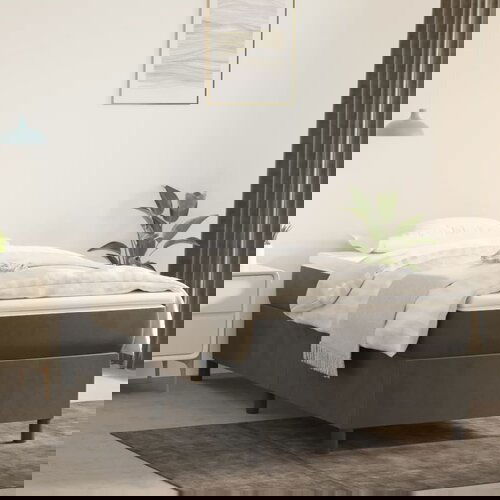 The Living Store Posteljni okvir temno siv 100x200 cm žamet - Box Spring Posteljni Okvir, (21488154) Slike