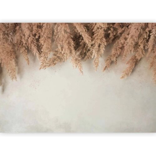  Foto tapeta - Peaceful Joy 250x175 Slike