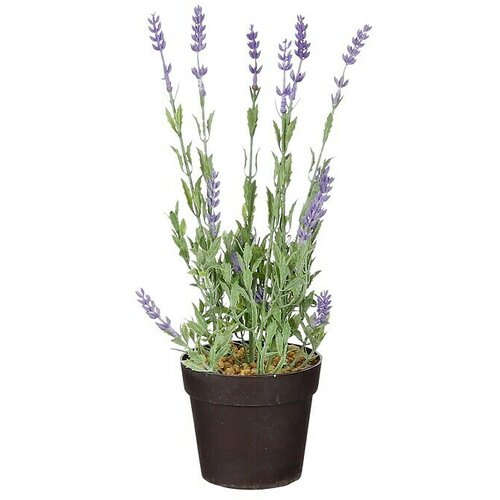  Umjetna biljka Lavanda (11 x 32 cm, Lila, Plastika) Slike