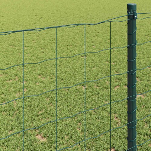 Euro ograda Zelena 1.6 x 10m Željezo prekriveno PVC-om Slike