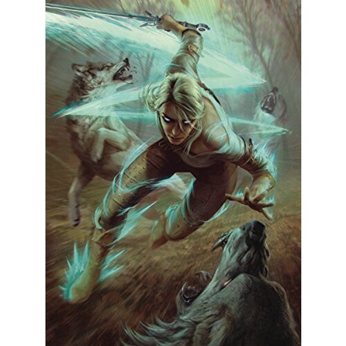 POZZI WITCHER 3 Wild Hunt 3003-770 puzle, (20856149) Cene