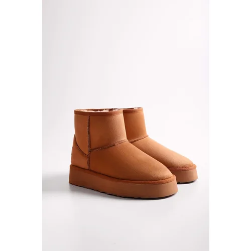 Shoeberry Women's Uggy Tabagus Short Suede Boots with Pile Inside Taba Tekstil.