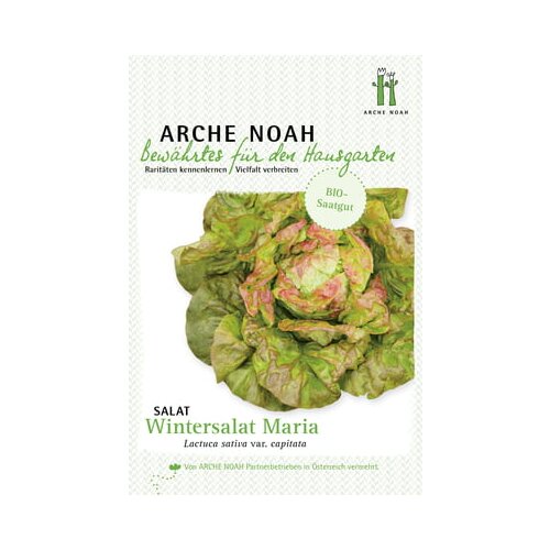 Arche Noah Ekološka solata "Wintermarie" Cene