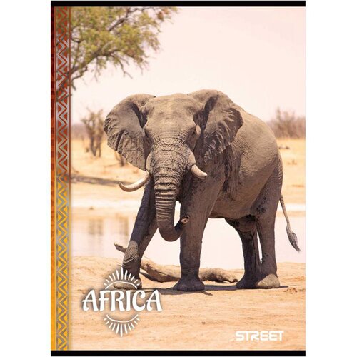 STREET Zvezek A4 Africa, mali karo, 80 listov, sortirano, 1 kos Slike