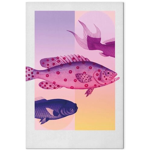  Slika - Fish in Pastels - Stylized Fish Against Gradient Shapes 40x60 Akustična Slike