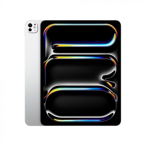 Apple ipad pro 13" wifi, M4, 8GB/256GB, sivi Cene