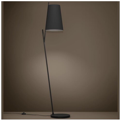 Eglo 390134 - podna lampa petrosa 1xE27/40W/230V crna Cene