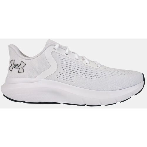 Under Armour Men&amp;#039;s shoes Charged Rogue 5 Slike