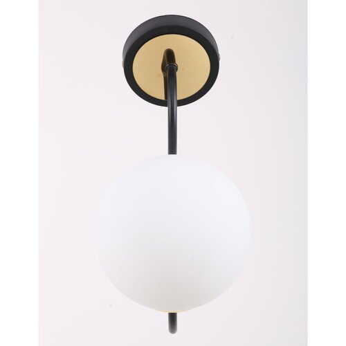 Squid Lighting Črna/bela stenska svetilka &amp;oslash; 15 cm Oslo &amp;ndash; Slike