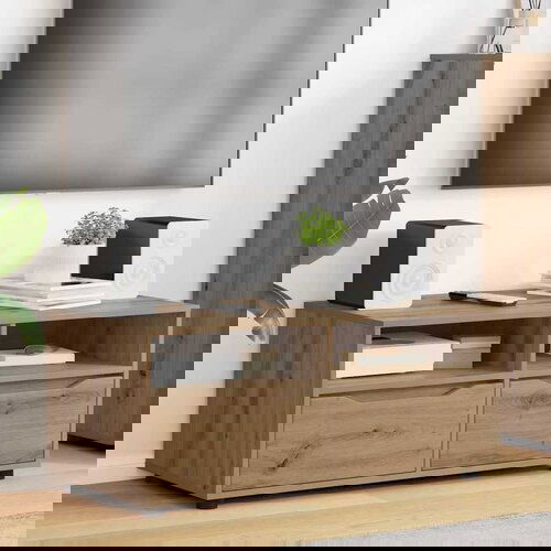 VidaXL TV omarica Umetni hrast 100 x 48 x 43 cm Konstruiran les Slike