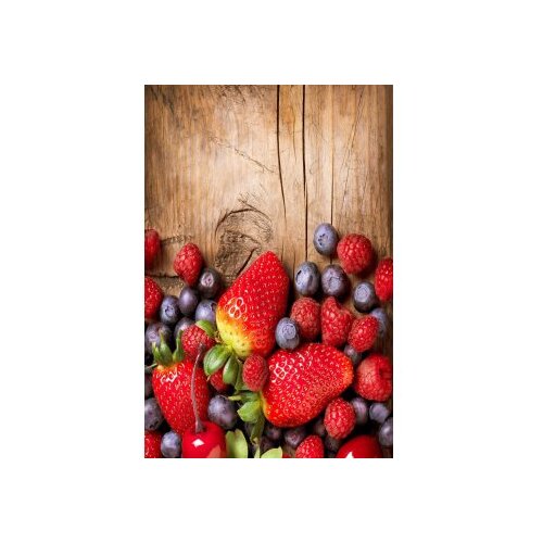 Conceptum Hypnose tepih staza (80x120) Hmnt535 Cene