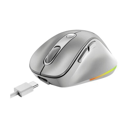 Genius Ergo 9000S Pro Silver USB bežični sivi miš Cene