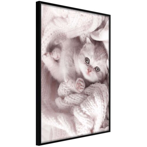  Poster - Tangled in Sweater 20x30 Slike