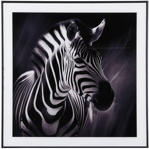 PT LIVING Slika 50x50 cm Zebra – Cijene