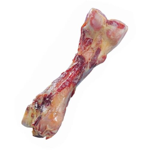 Nobby naravna kost maxi - cca 24 cm Cene