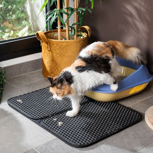 InnovaGoods Tepih za Mačji Pje&amp;scaron;čanik Clikatt Slike