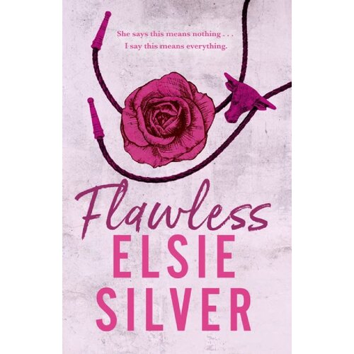 Hachette Elsie Silver - Flawless Cene