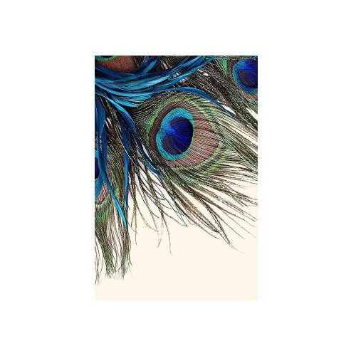 Conceptum Hypnose tepih Hmnt568, pravougaoni, 80 x 200 cm, &scaron;areni Cijene