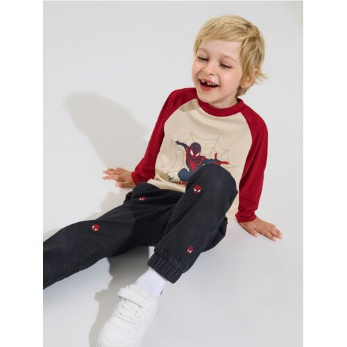 Sinsay Jogger traperice s vezom Spider-Man Cijene