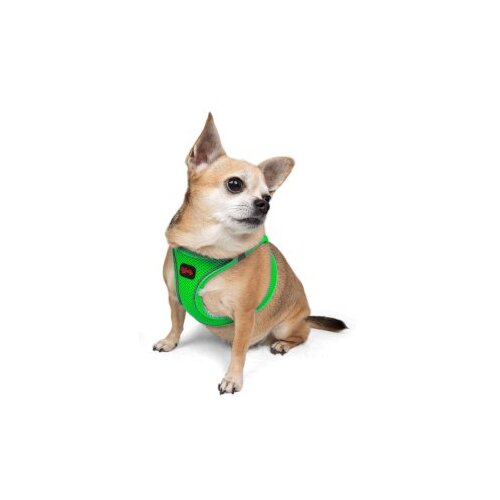 Paws & Whiskers Am za pse Air Mesh Neo Green M Cene