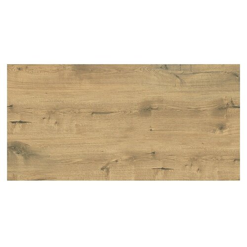 Cersanit Podna pločica Perfect Wood (D x Š: 60 x 120 cm, Smeđa) Cijene