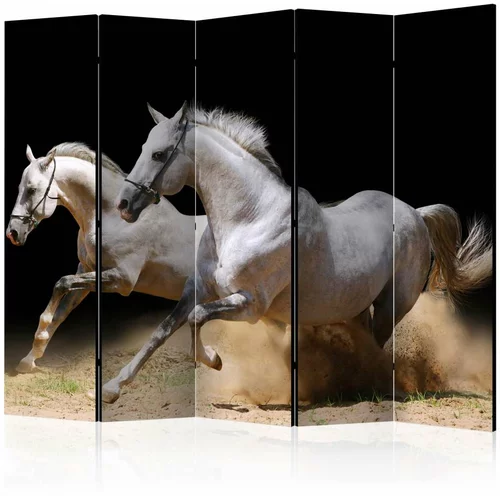 Paravan u 5 dijelova - Galloping horses on the sand II [Room Dividers] 225x172