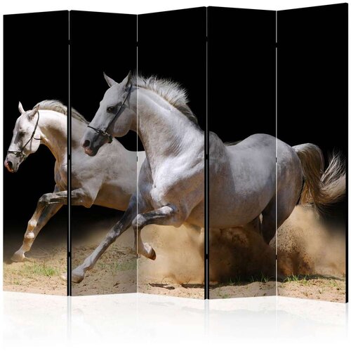  Paravan u 5 dijelova - Galloping horses on the sand II [Room Dividers] 225x172 Slike