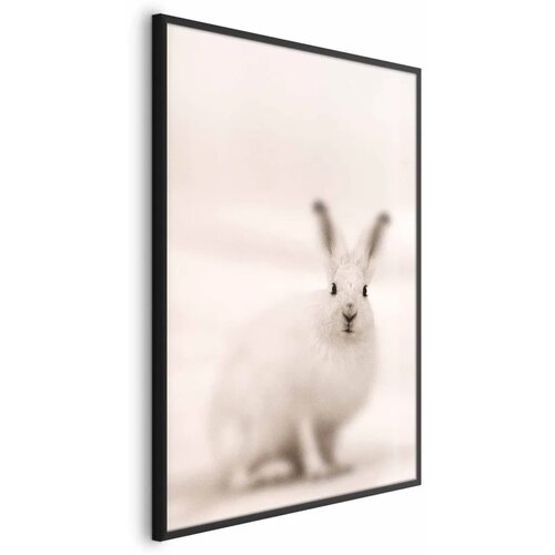  Plakat - Fearful Look 40x60 Crni okvir Cijene