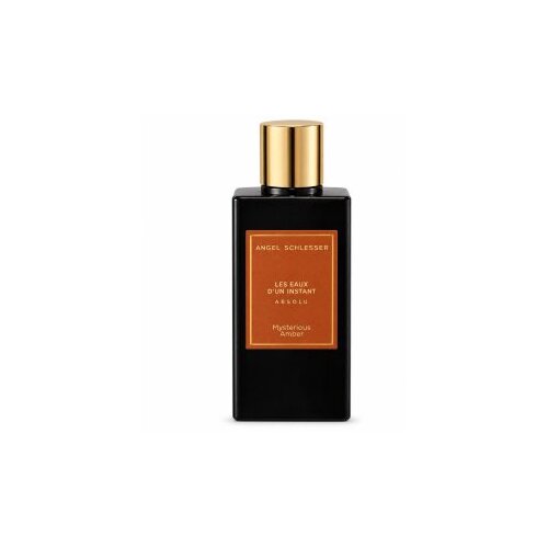Angel Schlesser Les Eaux D&amp;#039;Un Instant Absolu Mysterious Amber parfumirana voda unisex 100 ml Slike