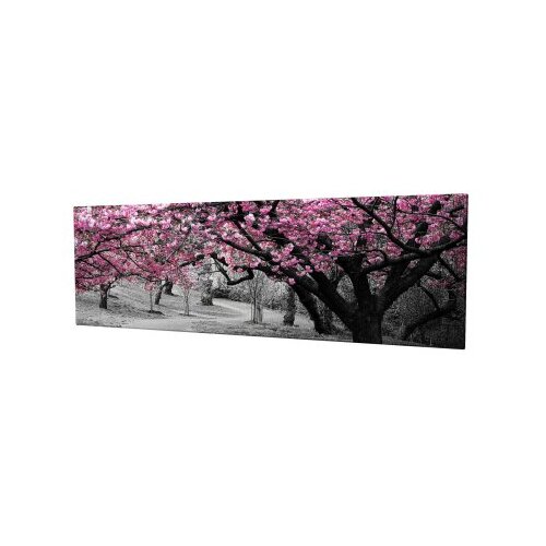 Wallxpert Dekorativna slika PC017 Slike
