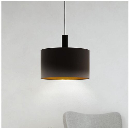 Eglo 97682 - visilica na sajli concessa 1 1xE27/60W/230V 380 mm Slike