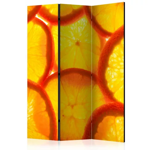 Paravan u 3 dijela - Orange slices [Room Dividers] 135x172