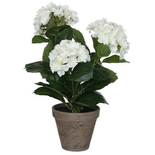  Umjetna biljka Hortenzija (Visina: 40 cm, Blanca, Plastika) Cene