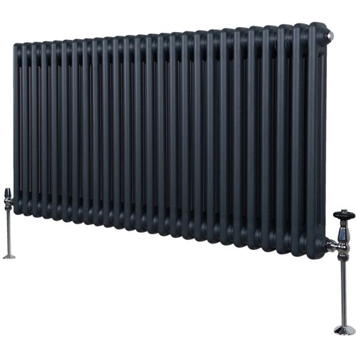 Monster tradicionalni radiator z 2 stolpcema - 600 x 1192 mm - antracitno siva, (21569791) Slike