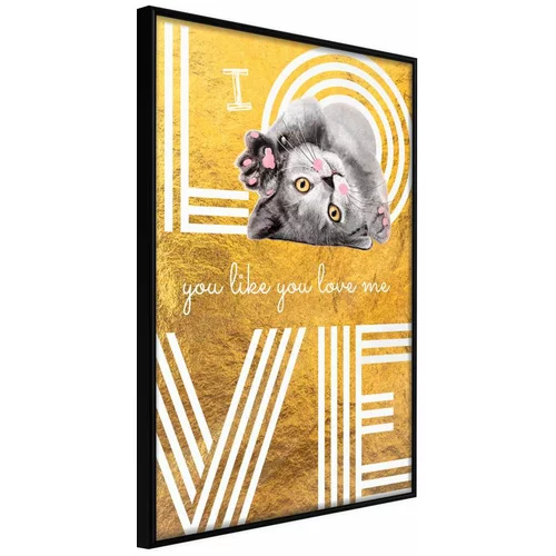  Poster - Cat Love 40x60