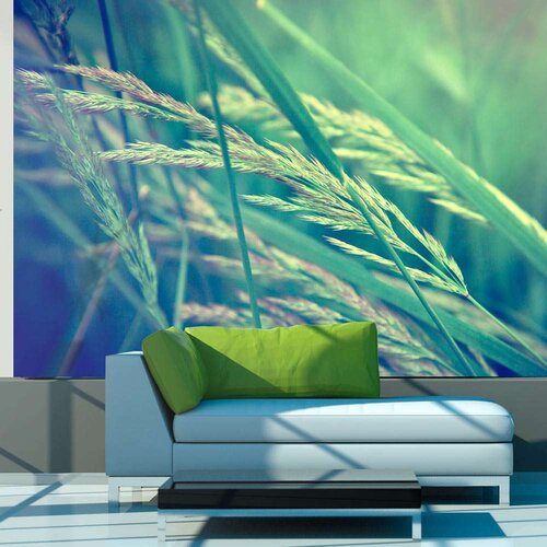  Tapeta - Cereal field 350x270 Slike
