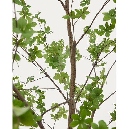 Kave Home Umjetna biljka (visina 214 cm) Enkianthus &amp;ndash; Slike