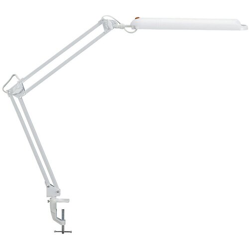 Maul LED-svetilka, 5800 K, 21 LED-diod, z mizno spojko, bela Cene
