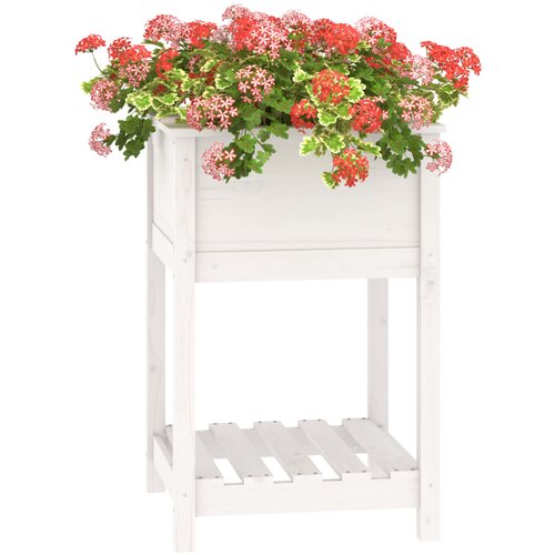  Sadilica s policom bijela 54x54x81 cm od masivne borovine Slike