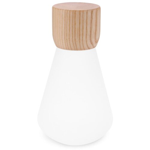 Gingko Prigu&amp;scaron;iva stolna lampa u prirodnoj boji (visina 19 cm) Pentagon - Slike