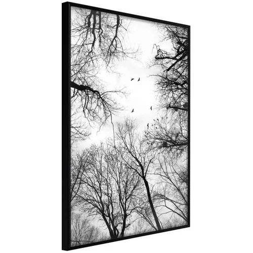  Poster - Treetops 40x60