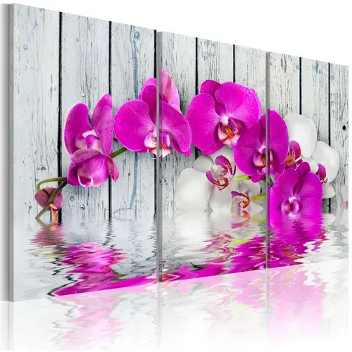  Slika - harmony: orchid - Triptych 90x60