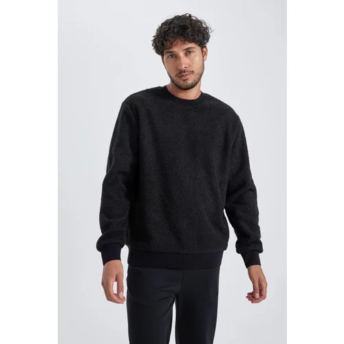 Defacto Regular Fit Crew Neck Plush Sweatshirt