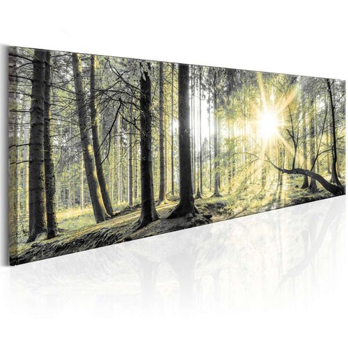  Slika - Morning Forest 135x45 Slike