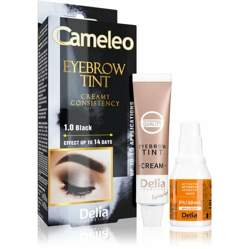 Delia Cosmetics Cameleo profesionalna kremasta barva za obrvi brez amoniaka odtenek 1.0 Black 15 ml